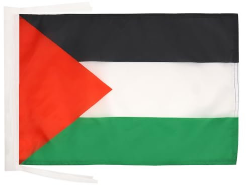 AZ FLAG - Drapeau Palestine - 45x30 cm - Pavillon Palestinien 100% Polyester Avec Deux Cordelettes - 20g