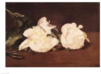 Posterazzi Branch of White Peonies and Secateurs 1864 Poster Print by Edouard Manet, (24 x 18)