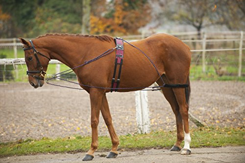 Norton Pulley Trainingshilfe, Mehrfarbig, Nicht zutreffend