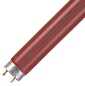 OSRAM Colourful T8 G13 L 18 W/60 lysrör