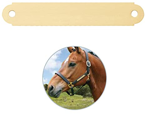 iMARC Placa de Caballo con Grabado – Medio (Exterior Redondeado) – para Cabestro, trense, establo