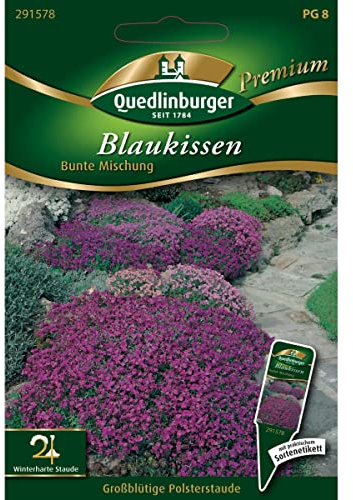 Blaukissen, Bunte Mischung