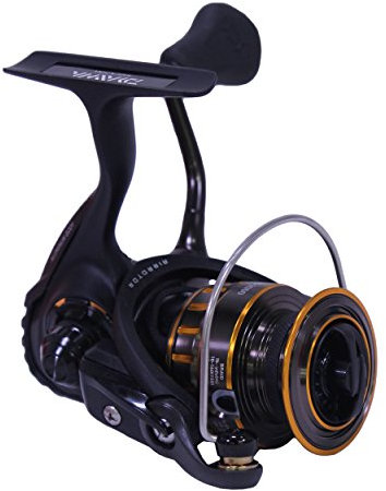 Daiwa BG1500 BG Salzwasser-Spinnrolle, Schwarz/Gold