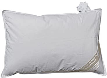 Betten Hofmann Kopfkissen 40x60 cm 150 g Neue Daunen Daunenkissen, Kuschelkissen, Naturprodukt, waschbar, 100% Daunen