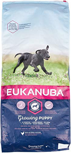 Eukanuba Welpenhundefutter für große Hunde, reich an frischem Hühn, 12 kg