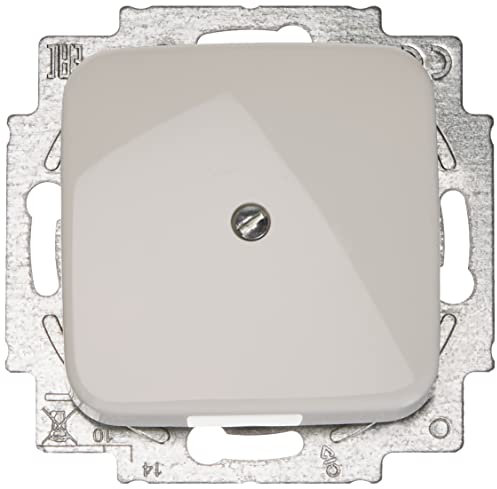 Busch-Jaeger 2538-214 Blindzentralscheibe