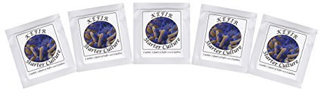 Kefir Starter Cultures - Pack of 5 Freeze Dried Sachets for Homemade Milk Kefir (5 sachets)