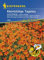 Kiepenkerl 3868 Kleinblütige Tagetes Luna Orange (Tagetessamen)