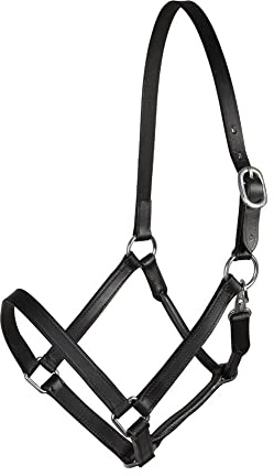 PFIFF Basicline Lederhalfter, schwarz Full