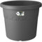 Elho Algarve Cilindro Rollen 40 - Blumentopf - Anthrazit - Draußen - Ø 39.5 x H 33.1 cm