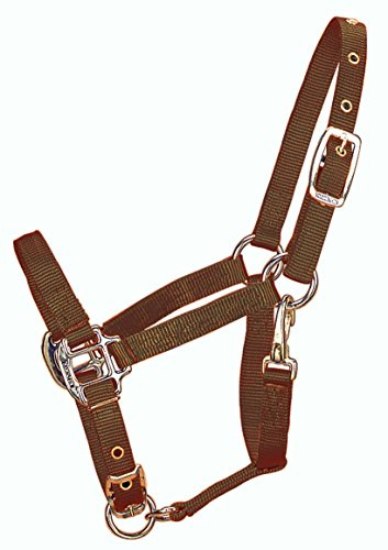 Hamilton 3DAS WNBR 3/4 Adjustable Chin Foal Halter with Snap, Weanling, Brown