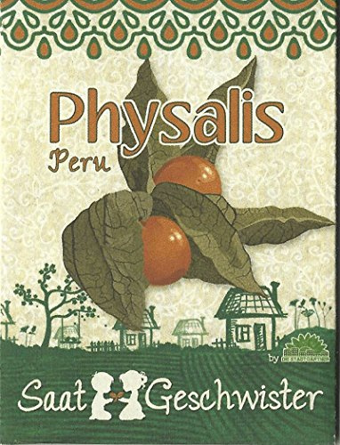 Die Stadtgärtner Physalis Peru-Saatgut | leuchtend orange med zuckersüßem Geschmack | Samen för 40 Pflanzen