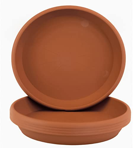 Home Garden Ornaments Soucoupe Pot Fleur 24cm Diamètre Marron Clair Lot de 5 - Durable Soucoupe Ronde - Soucoupes pour Pots de Fleurs - Soucoupe Pot de Fleur Interieur (Marron Clair)