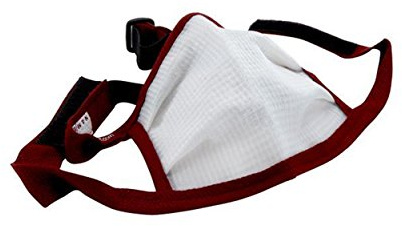 Dust Bee Gone Large Mask - Maroon Edging