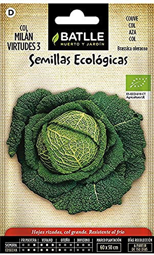 Graines Bio de Batlle - Chou de Milan Virtudes 3 (2g)