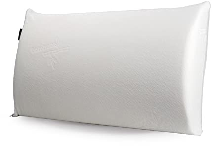 Kudde nomade – visco-végétal memory-form – 60 x 33