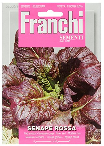 SEMENTI IN BUSTINA DI PIANTE OFFICINALI E AROMATICHE (SENAPE ROSSA)