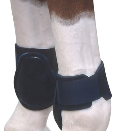 Reitsport Amesbichler Streichkappen Neopren