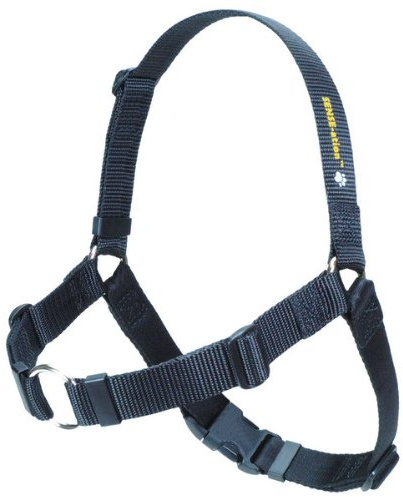 The Original Sense-ation No-Pull Dog Training Harness (Black, Small)