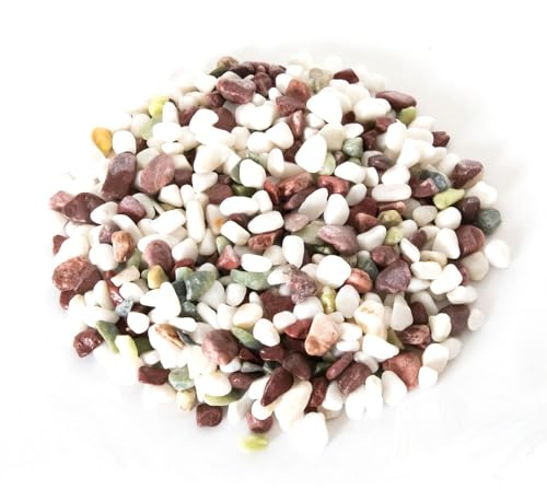 Reptiles Planet Ciottoli di Fiume per Tartaruga acquatica Turtle Stones, 4,5 kg, Colore: Grigio - Bianco