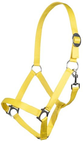 HKM SPORTS EQUIPMENT Halfter -Stars Economy Softice-, Neon gelb, Shetty
