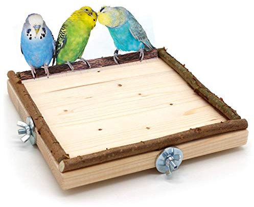 Vogelgaleria® Eck Sitzbrett 20x20cm mit Natur Holz Bordüre für Vögel wie Nymphensittich Wellensittich Kanarien etc | Bestes Käfig Zubehör Vogelsitzbrett Sitzbrett inkl. Befestigungsmaterial