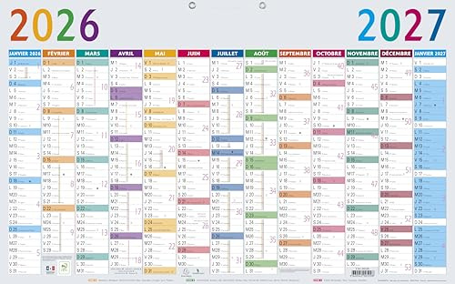 Exacompta - Calendrier Multicolore Annuel 65x40,5cm - 2027 | 13 mois sur une face, Perforation pour suspension murale, Fabriqué en France