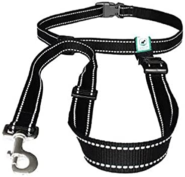Caldwell's Pet Supply Co. Hands-Free Dog Leash, Adjustable Waist Leash for Dog Walking, Non-Bungee, Hands Free Harness, Durable and Versatile Waist Belt Leashes, Cross Body for Dogs (26 - 47)