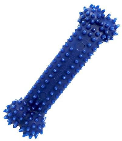 Nylabone Jouet dentaire à mâcher moyen, forme d’os, arôme poulet, pour les petits chiens (jusqu’à 16kg), mâchouilleurs modérés/paisibles, M (jusqu'à 16kg)