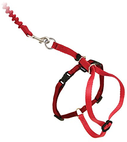 PetSafe Come With Me Kitty - Arnés y correa elástica, arnés para gatos, grande, rojo/arándano