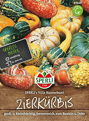 Sperli-Samen Zierkürbis SPERLI's Villa Kunterbunt