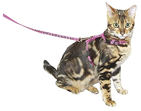 Arnés para gatos con correa 120 cm x 10 mm, rosa