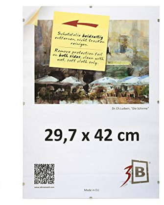 3-B Lot de 5 Cadres - CLIP 29,7x42 cm (A3) - Cadre à Clip avec verre acrylique