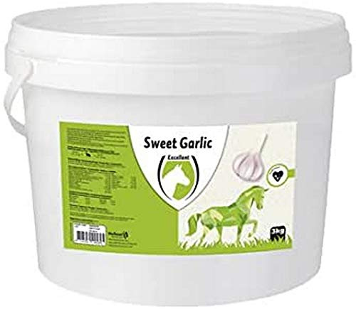 Excellent Sweet Garlic Blocks - 3 kg
