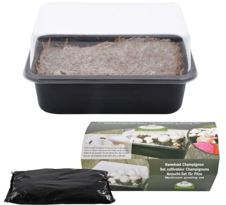 Fallen Fruits Ensemble de Culture de Champignons B1009