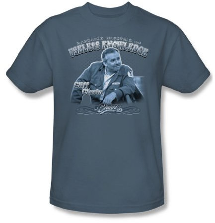 Cbs - Fountain Of Knowledge Adult T-Shirt In Slate, X-Large, Slate