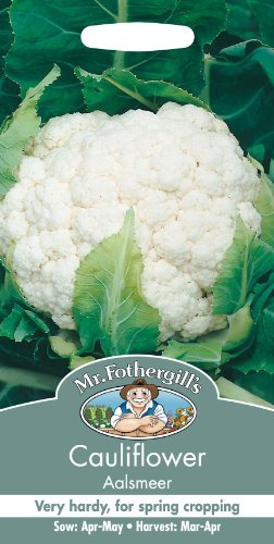 Mr Fothergills - Pictorial Packet - Vegetable - Cauliflower Aalsmeer - 75 Seeds