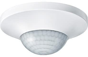 Argus presencia basic polar
