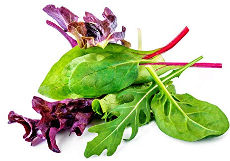Lettuce Spring Mix Salad Greens Seeds for Planting Hydroponic Garden Indoor or Outdoor Vegetable Garden 500 Heirloom Seeds Variety Packet