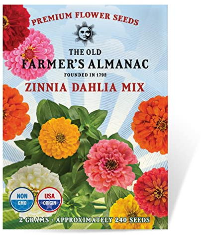 The Old Farmer's Almanac Zinnia Seeds (Dahlia Mix) - Approx 200 Flower Seeds - Premium Non-GMO, Open Pollinated, USA Origin