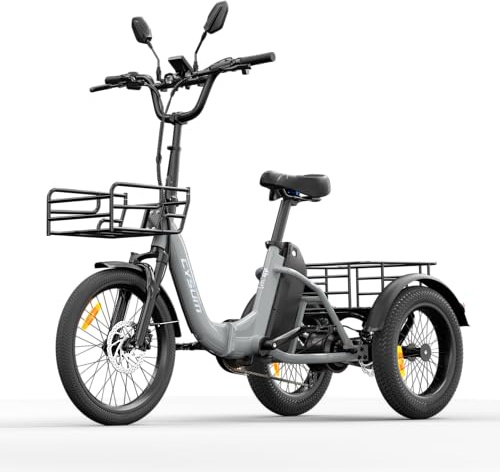 cysum AG1 Pro Tricycle électrique pour Adultes, vélo électrique Pliable 16'', Batterie 48V 20Ah, Vitesse maximale de 25 km/h et autonomie de 80 km, Frein à Disque hydraulique et différentiel
