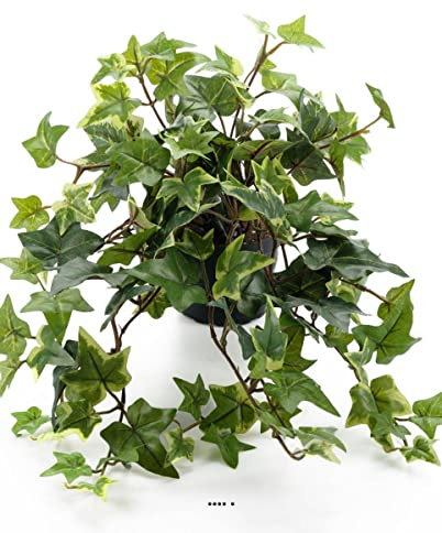 Artificielles.com - Lierre artificiel panaché retombant en pot, petites feuilles, H 30 cm