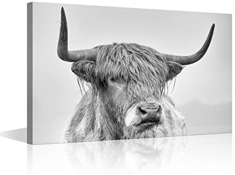 Canvas Wall Art Black and White Highland Cow Print Poster Cattle Canvas Art Yak Paintings for Living Room Bedroom Decor Kid's Room Wall Decoration Framed Reday to Hang 16x24in (40x60cm)