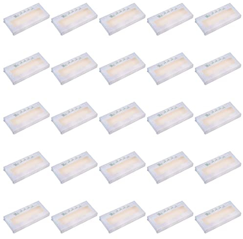 FOMIYES 25pezzi Scatole Portaciglia Finte per Natale Contenitori di Carta Vuoti Organizzatore per Ciglia Facile da Aprire e Chiudere