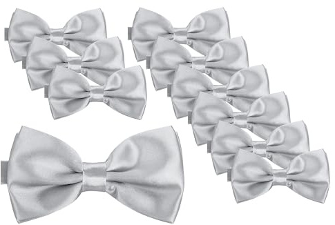 BomGuard papillon da uomo set da 10 – Argento