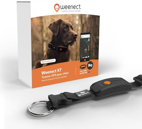 Weenect Hund XT - NEUES GPS-Halsband für Hunde | XL-Antenne | Wasserdicht | Hyperresistentes integriertes Julius-K9 Halsband Schwarzes Abonnement erforderlich