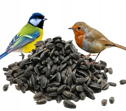 Green Hobby Semi di girasole nero 25 kg mangime per uccelli
