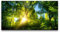 Leinwandbild 120x60cm Grüner Wald Baumkronen Sonnenstrahl Natur Erholsam