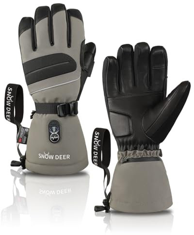 SNOW DEER Beheizbare Handschuhe Damen Herren mit 10 Stunden Wärme Elektrisch Beheizte wasserdichte Skihandschuhe Thinsulate Warme Touchscreen Thermohandschuhe (Silber, XL)
