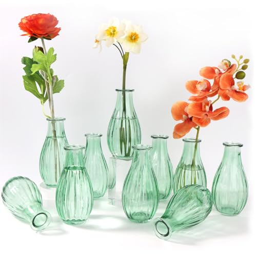 Otauoaea Juego de 10 Pequeños Jarrones de Cristal, 220ml Jarrón Vintage Mini Decoración Set para Decoración de Mesa de Boda con Diferentes Tamaños Florero